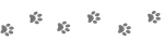 logo landscape (2)