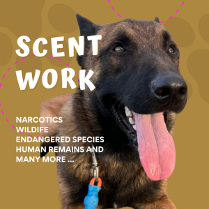 scent imprinting