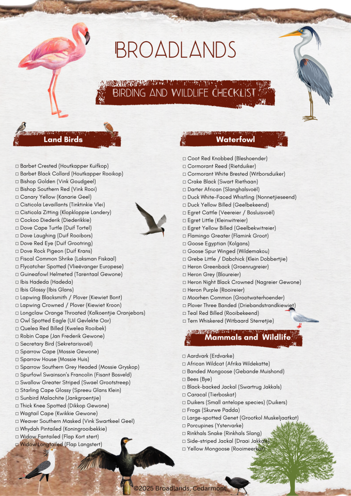 birding checklist new