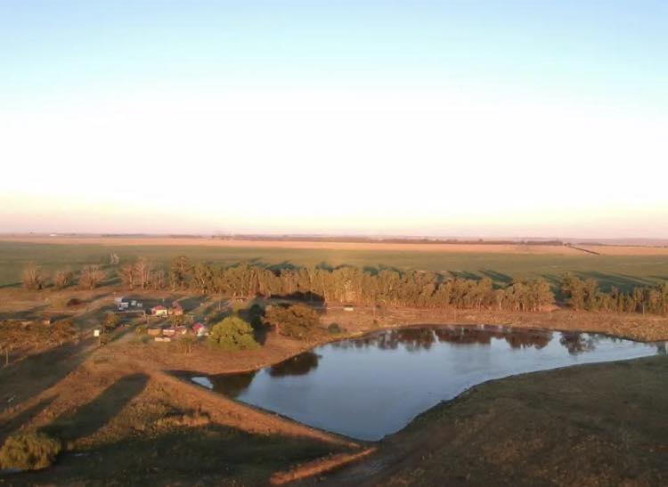 broadlands